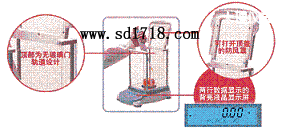 大理先進型天平,210g,0.001g