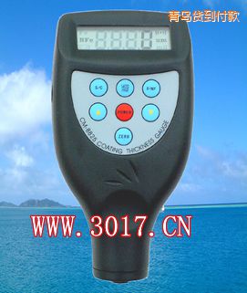 青島鐵基涂層測(cè)厚儀