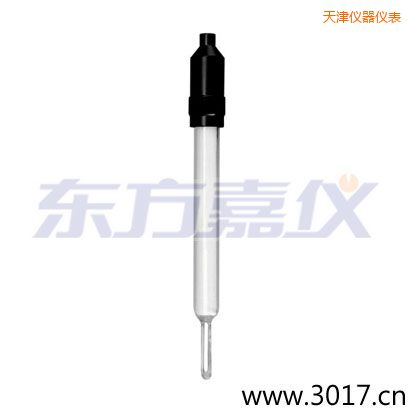 天津玻璃外殼無(wú)溫補(bǔ)兩線電導(dǎo)率電極