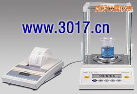 ���BTϵ�о�����ƽ,105/210g,0.1/1mg