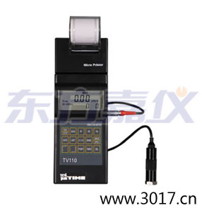 時(shí)代便攜式測(cè)振儀